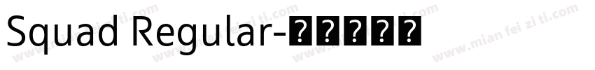 Squad Regular字体转换